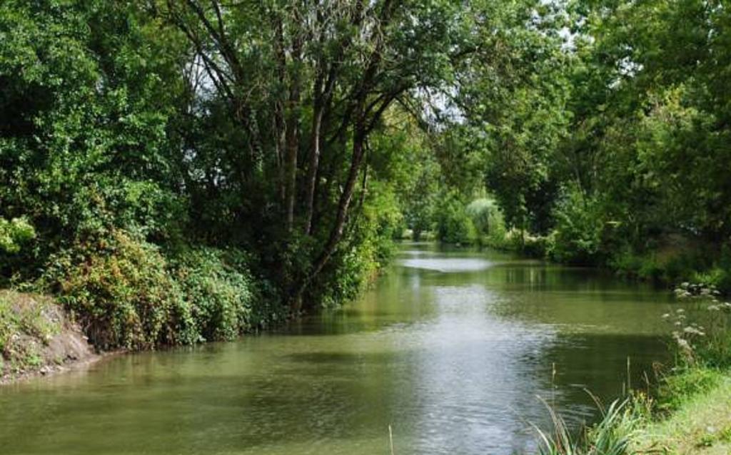 La Poussardiere Saint-Martin-sous-Mouzeuil Extérieur photo